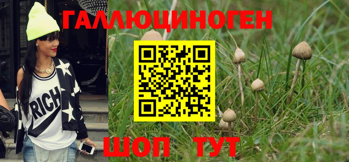 цена наркотик  Вход с VPN  Ангарск  Псилоцибиновые грибы Magic Shrooms 